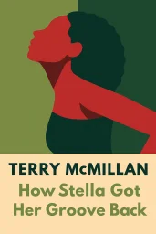 How Stella Got Her Groove Back cover