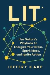 LIT cover