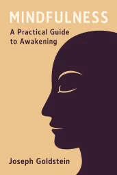 Mindfulness cover