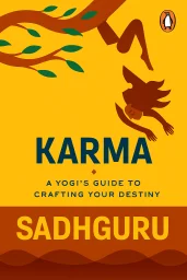 Karma cover