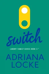 Switch cover