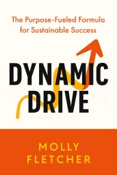 Dynamic Drive cover