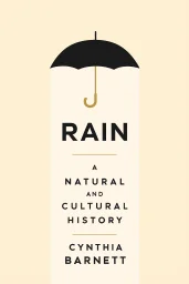Rain cover