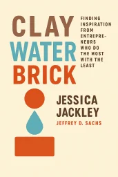 Clay Water Brick cover