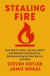 Stealing Fire cover