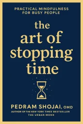 The Art of Stopping Time cover