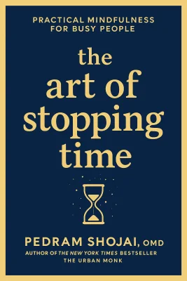 The Art of Stopping Time cover
