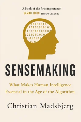 Sensemaking cover