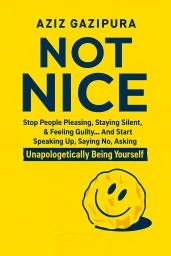 Not Nice cover