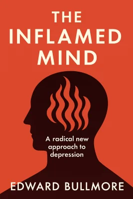 The Inflamed Mind cover