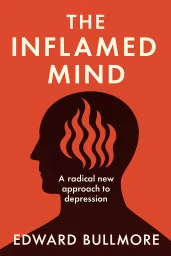 The Inflamed Mind cover