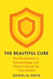 The Beautiful Cure cover