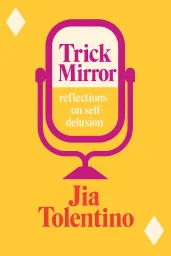 Trick Mirror cover