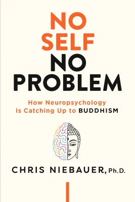 No Self, No Problem cover