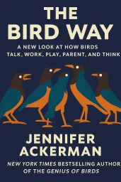The Bird Way cover