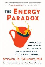 The Energy Paradox cover