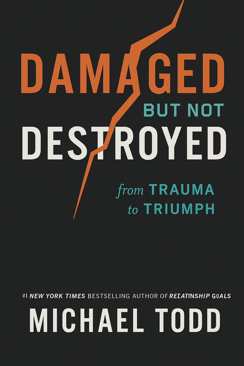 Damaged but Not Destroyed Cover