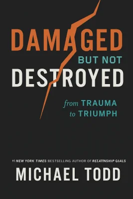 Damaged but Not Destroyed cover