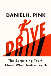 Drive cover